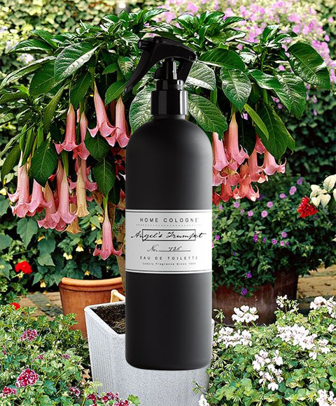 ANGEL'S TRUMPET No. 625