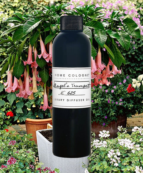 ANGEL'S TRUMPET No. 1221