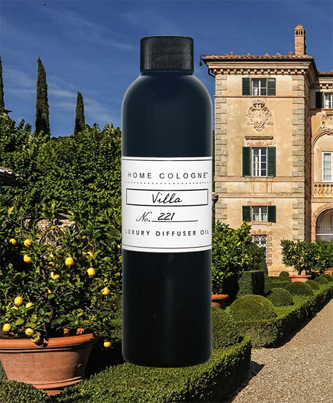 VILLA No. 221