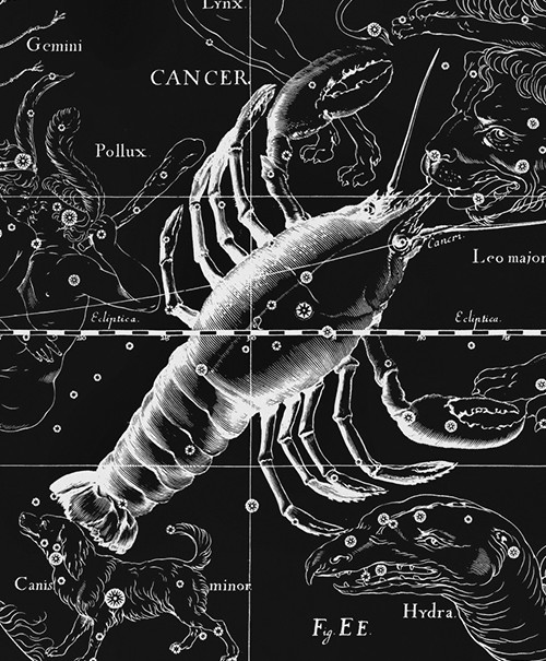 background image for Celestial Shower Cancer